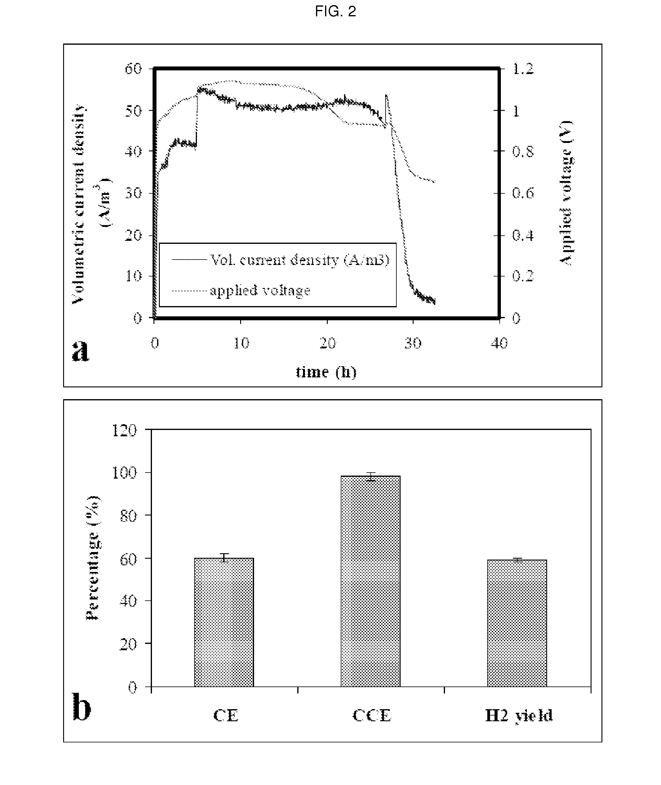 Microbial Electrolytic Cell