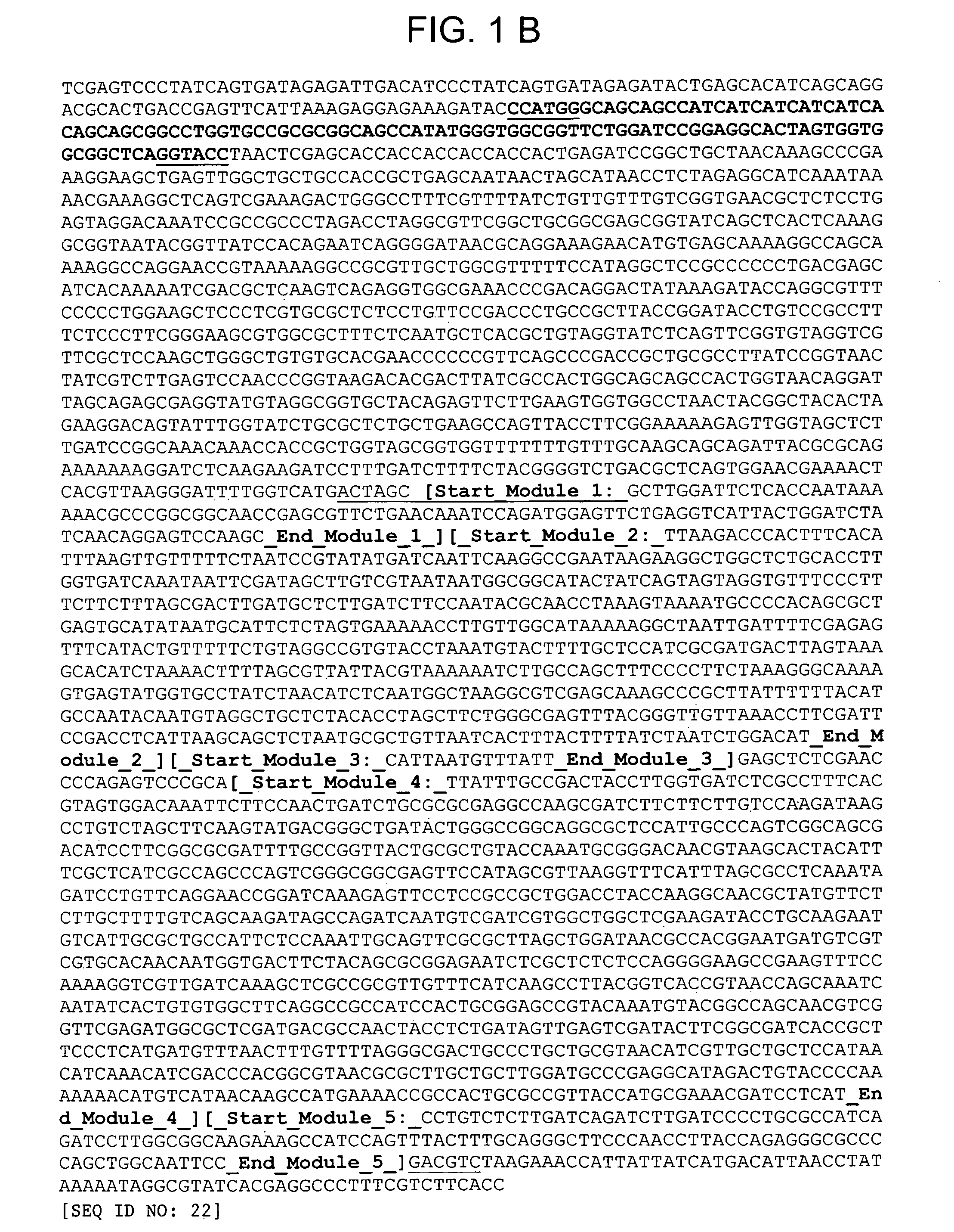 Protein- protein interaction detection system using fluorescent protein microdomains