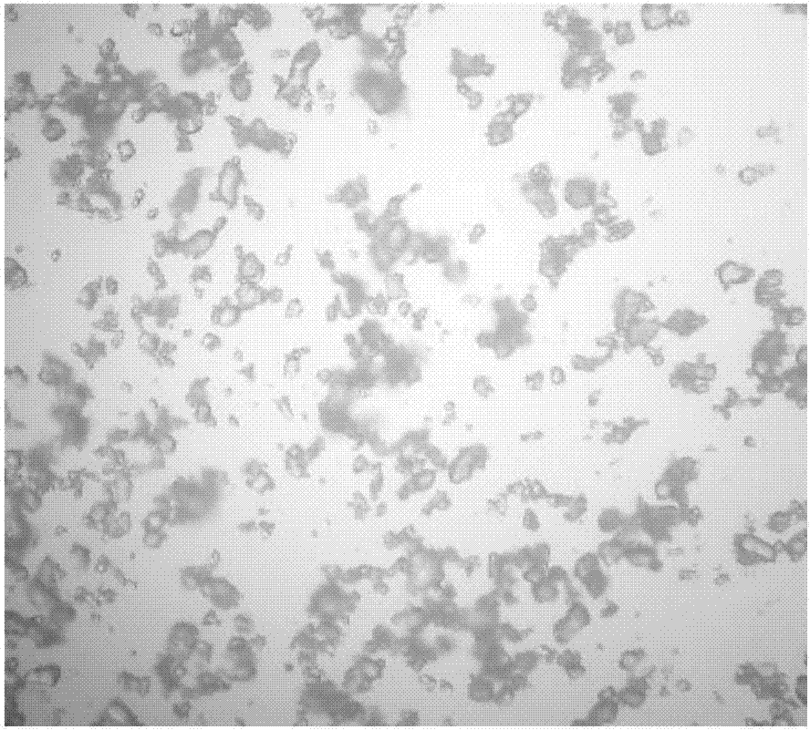 Compound low sodium salt and preparation method thereof