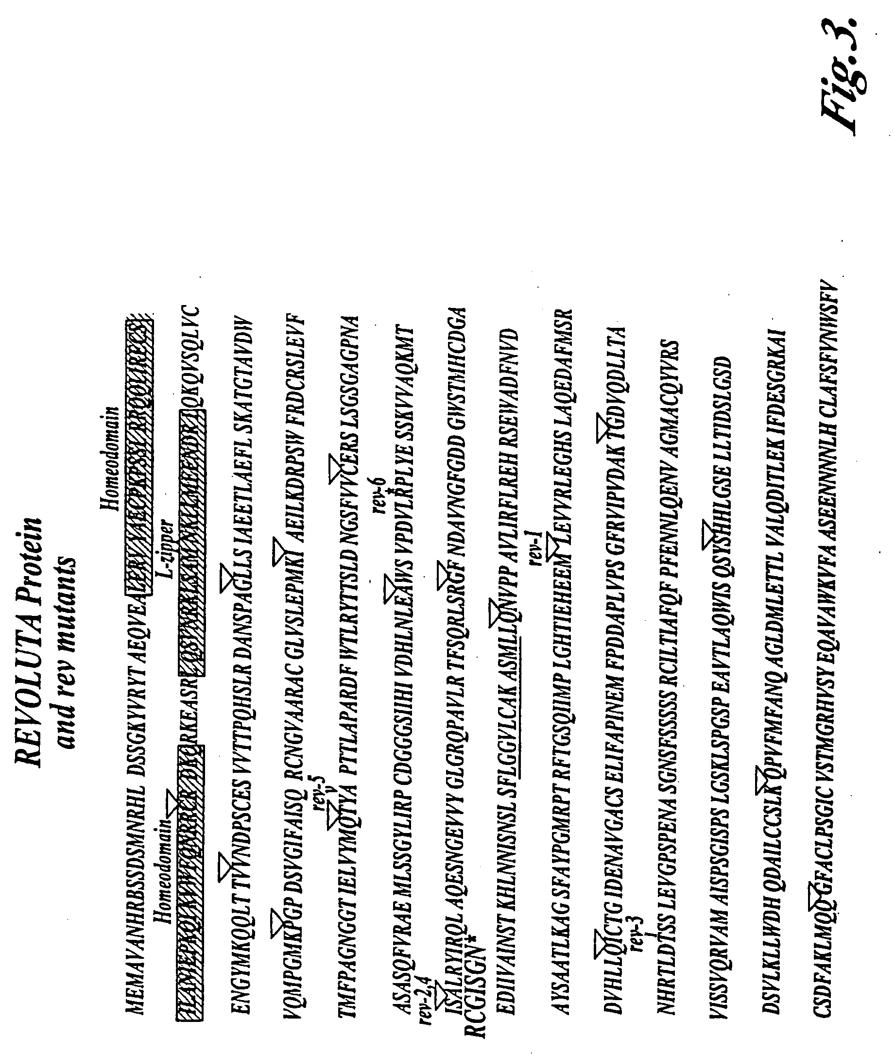 Compositions and methods for modulation of plant cell division