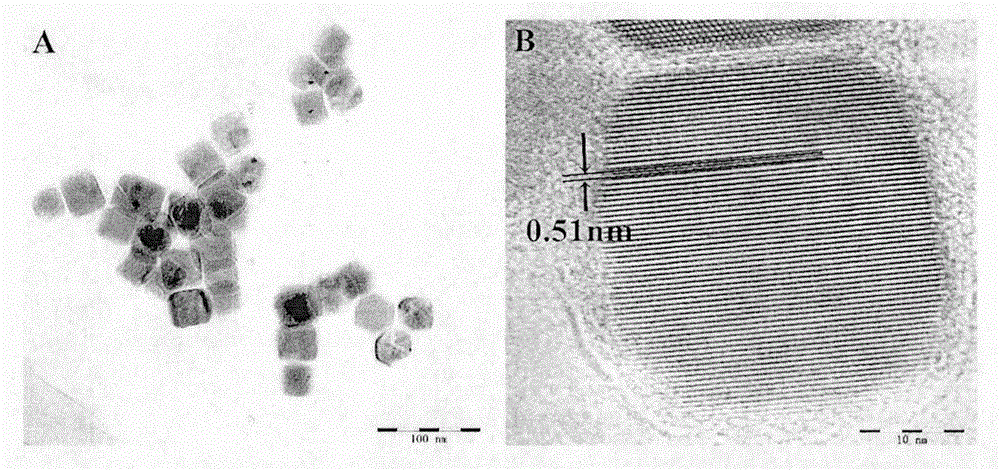 Double-recognition quantitative detection method for microRNA