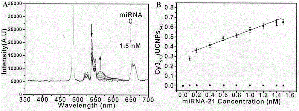 Double-recognition quantitative detection method for microRNA