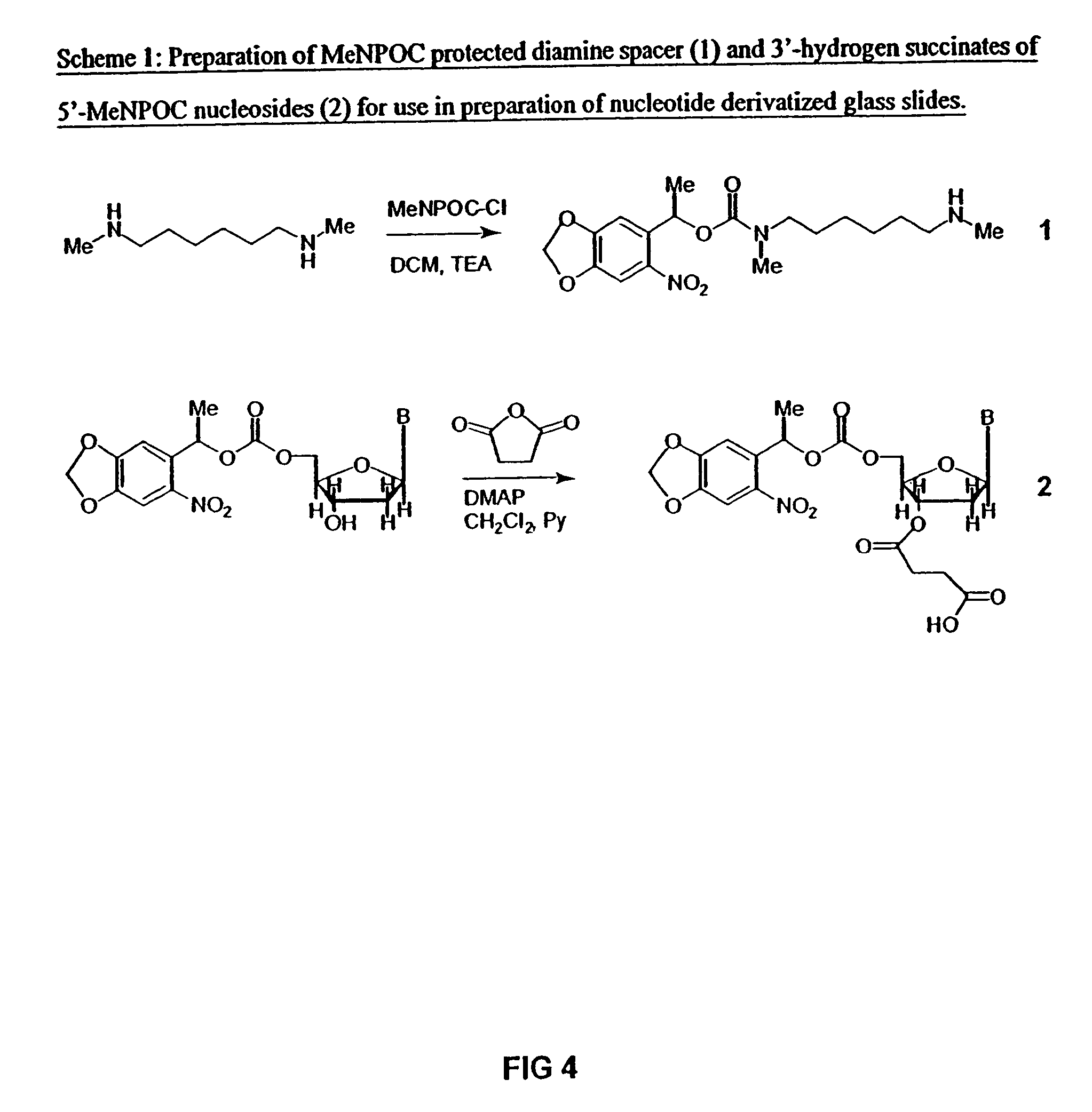 Method for the synthesis of DNA sequences