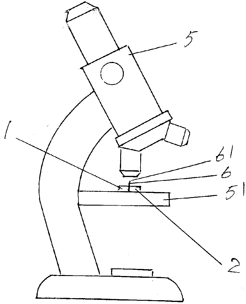 Optical fiber fixture for observing and analyzing breaking point of optical fiber