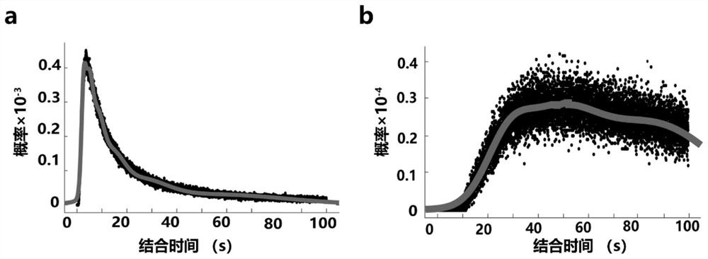 Single molecule dynamic detection method and system based on external force regulation and control