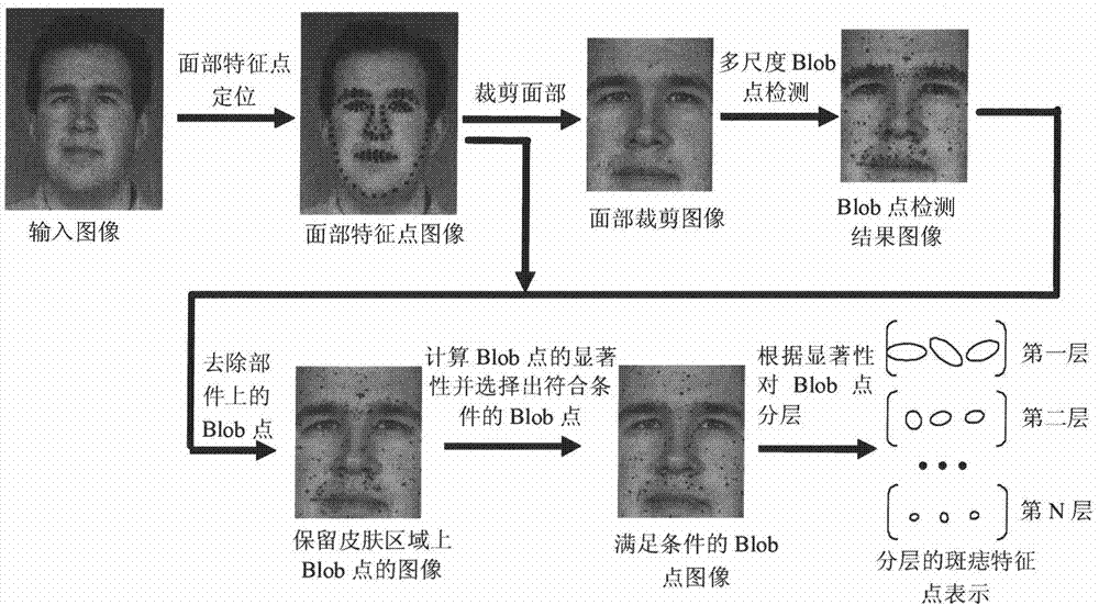 Method for detecting skin stains on face and identifying face by utilizing skin stains