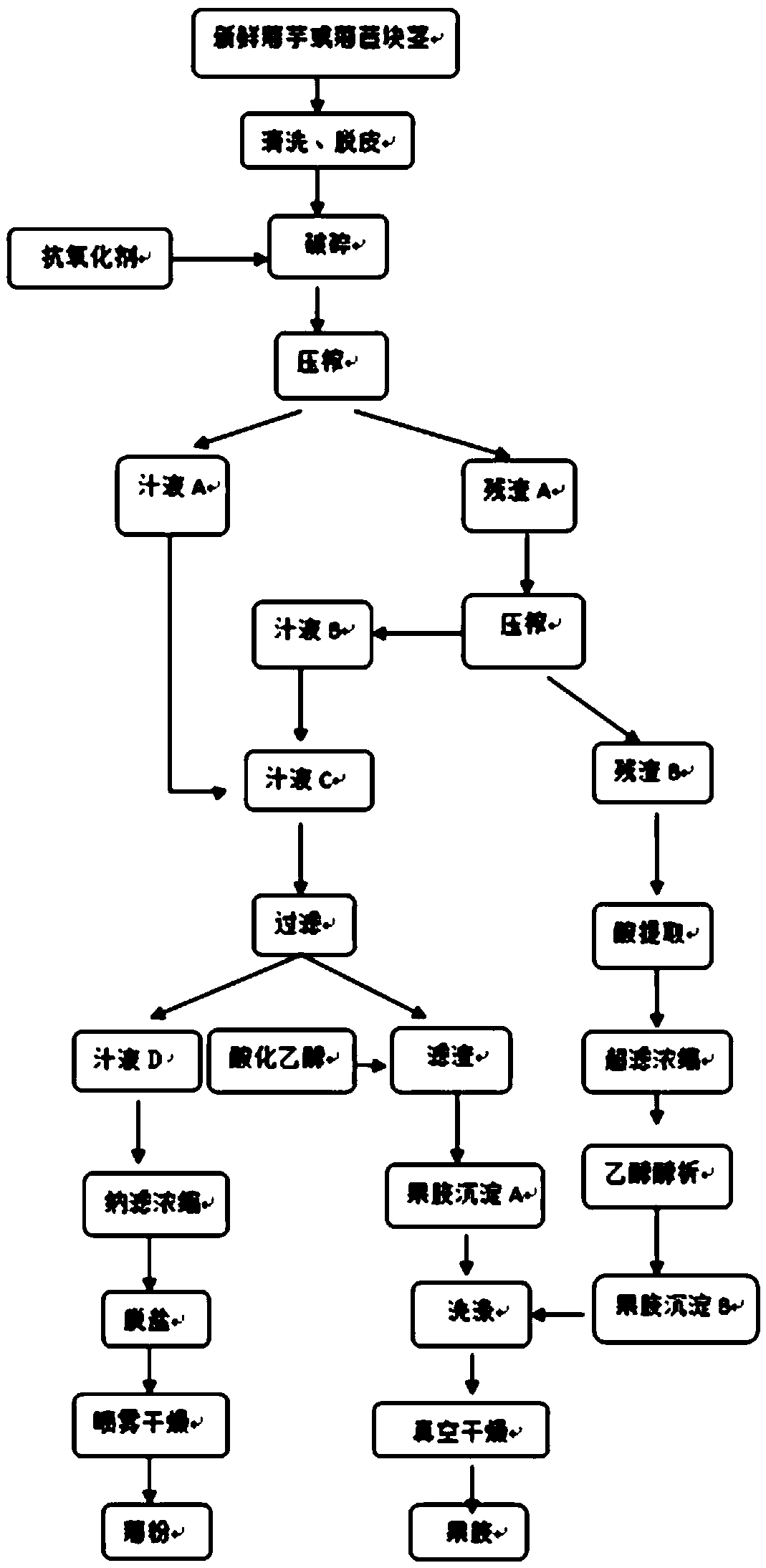 A method for continuously preparing inulin and pectin from Jerusalem artichoke and/or chicory