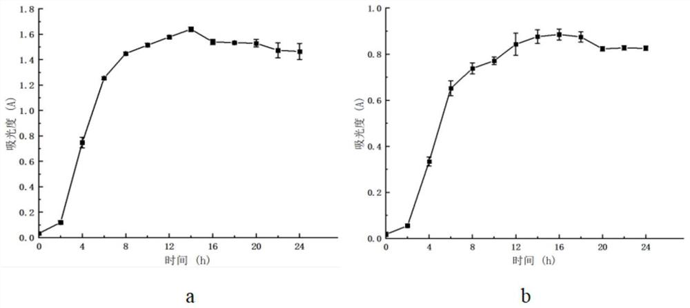 Mixed strain suitable for mulberry fermented beverage in cold region and application thereof