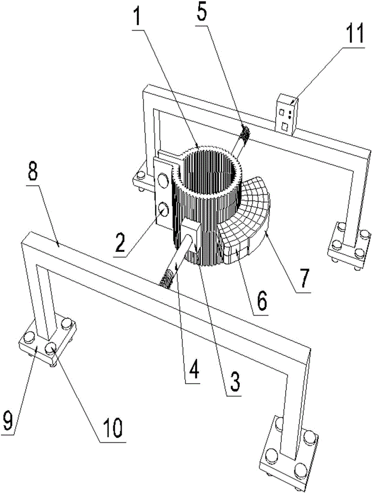 Garden tree fixing device with insecticidal system and working method of garden tree fixing device