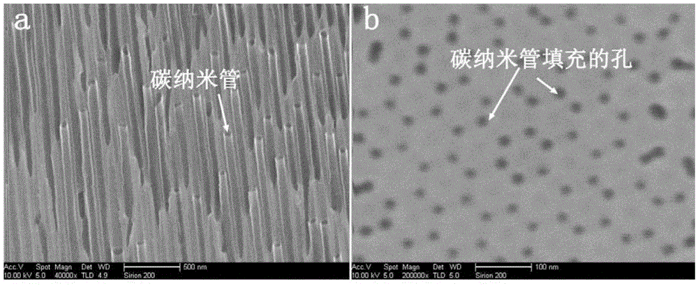 Electrostatic capacitor based on nano-electrode and preparation method thereof