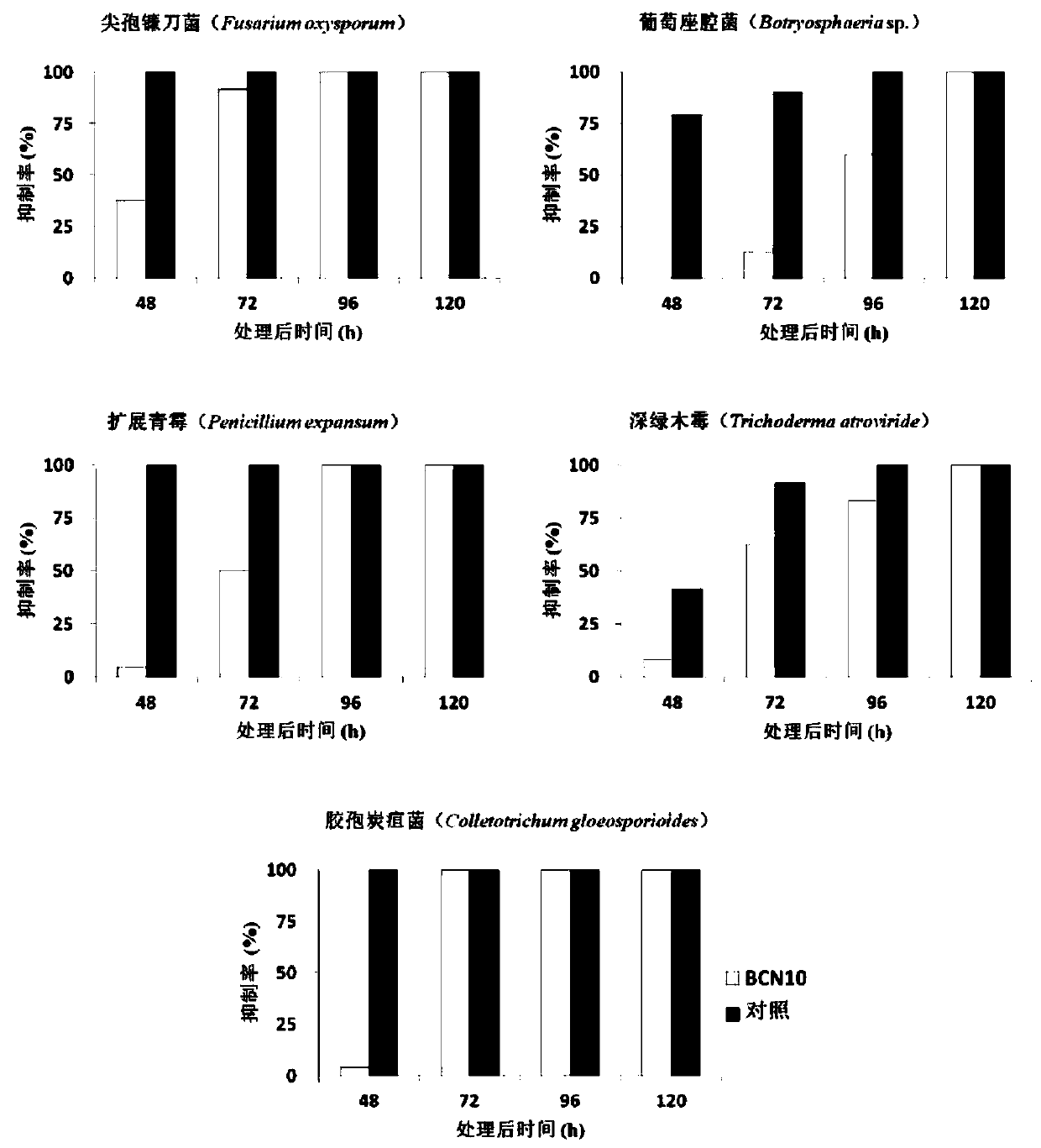 Biocontrol Bacillus thuringiensis strain and application thereof