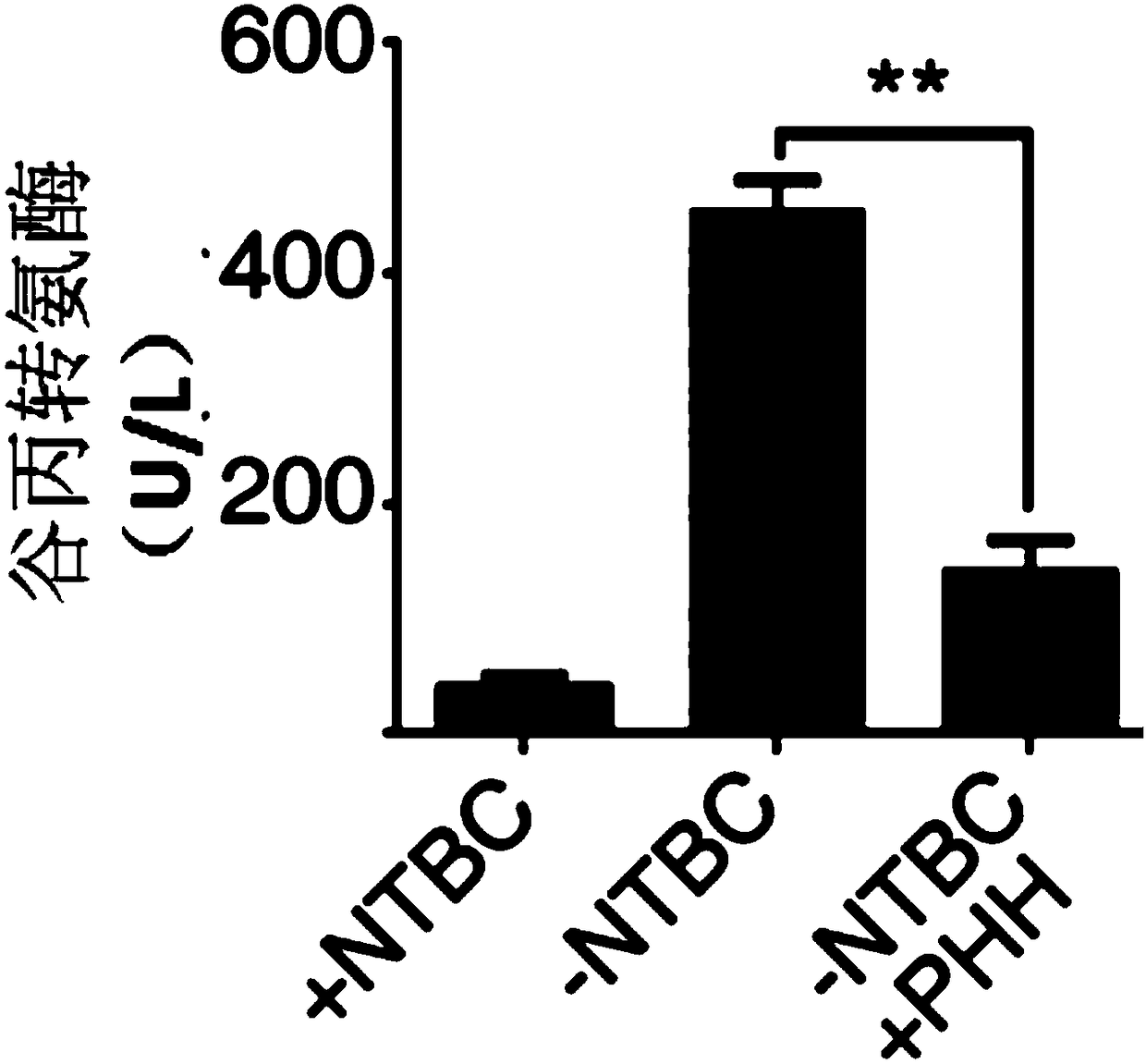 New application of immunodeficient mice model