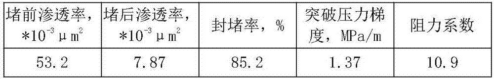 Low permeability pore type oil reservoir double-slug deep profile control agent and use method thereof