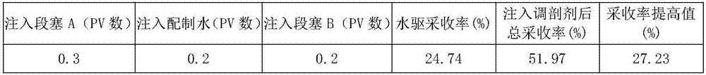 Low permeability pore type oil reservoir double-slug deep profile control agent and use method thereof