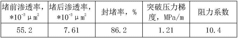 Low permeability pore type oil reservoir double-slug deep profile control agent and use method thereof