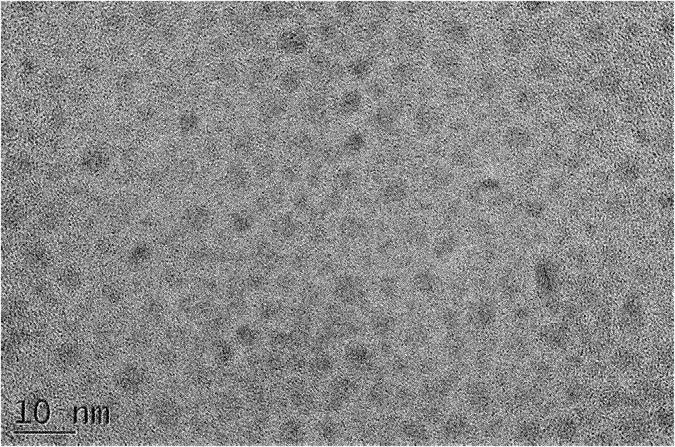 Method for synthesizing zinc sulfide quantum dots by using oil amine