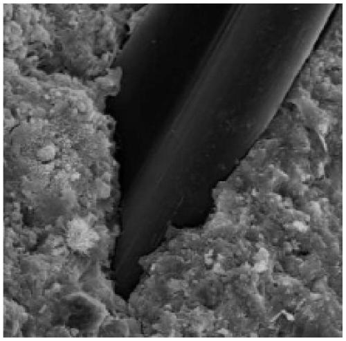 A kind of modified polypropylene composite fiber and preparation method thereof