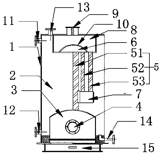 Vertical biomass gas dual-purpose atmospheric-pressure hot water boiler