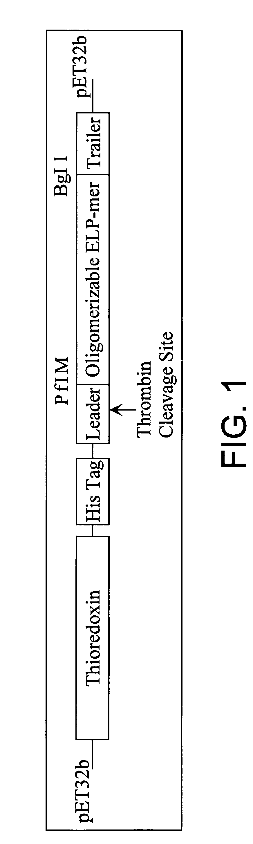 Methods of using bioelastomers