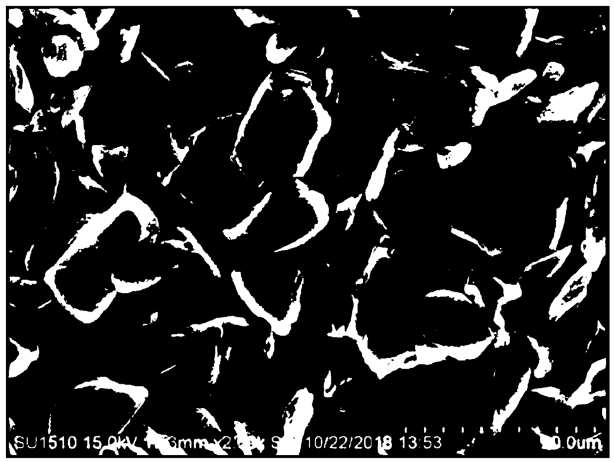 Lithium ion battery electrode paste semidry method dispensing process, lithium ion battery positive electrode sheet, lithium ion battery negative electrode sheet, and lithium ion battery