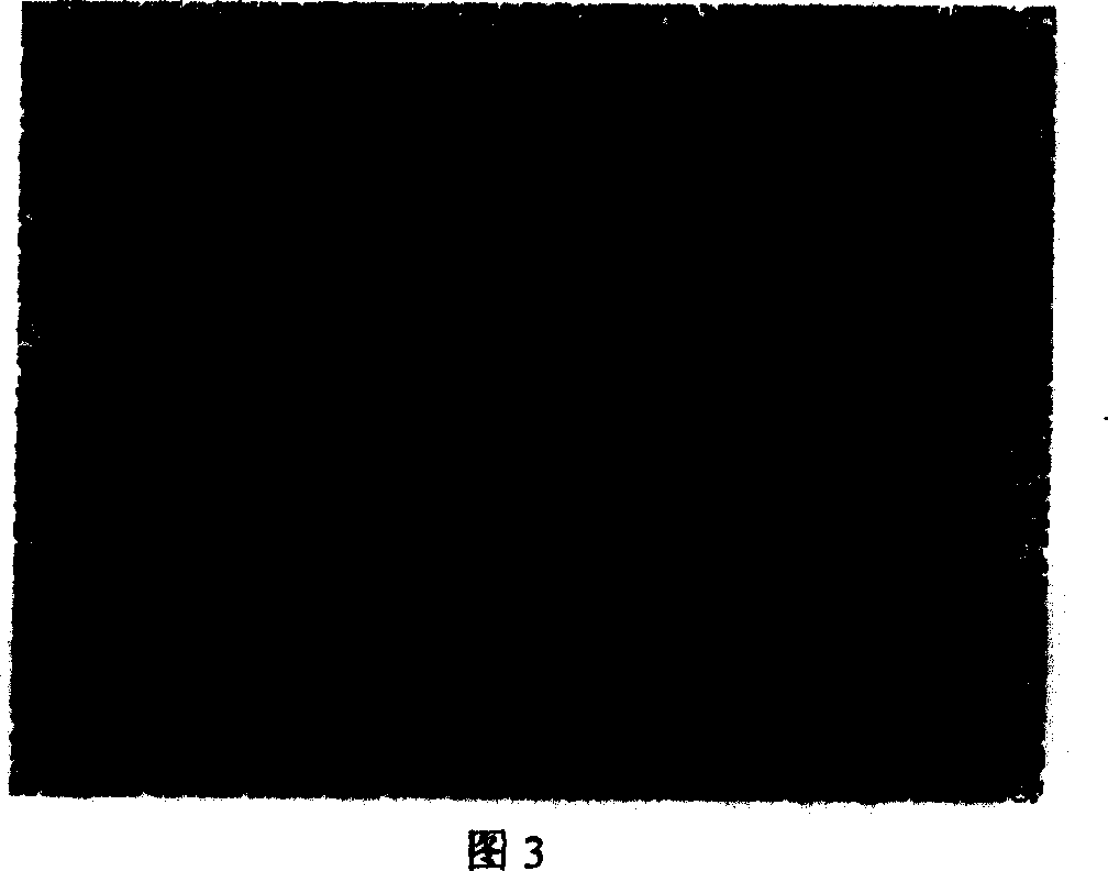 Opposite target reaction magnetocontrol sputtering method for preparing vanadium oxide film