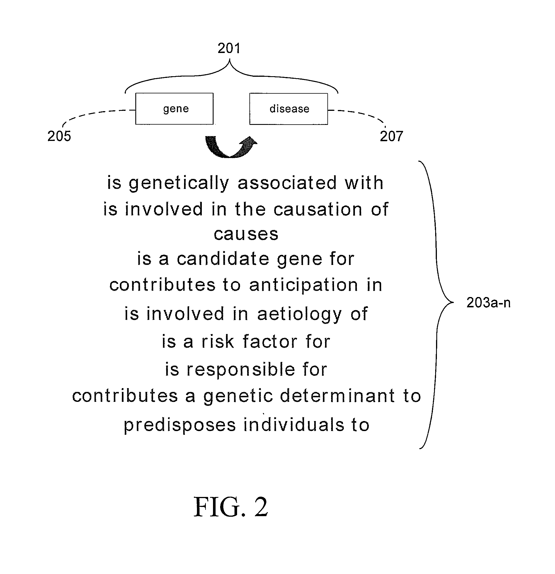 Creating a multi-relational ontology having a predetermined structure