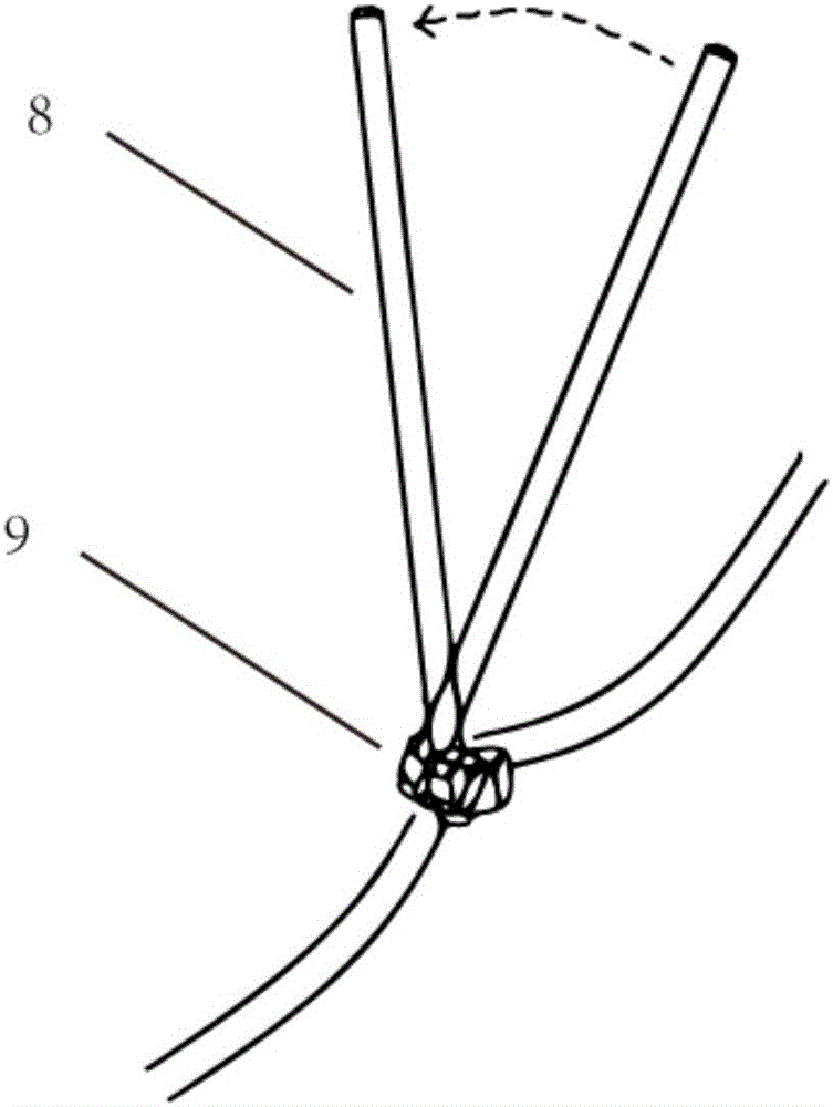 Intraocular pressure monitor and intraocular pressure monitoring system