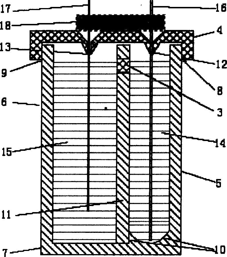 Electric sample introduction multiunit tube for capillary electrophoresis