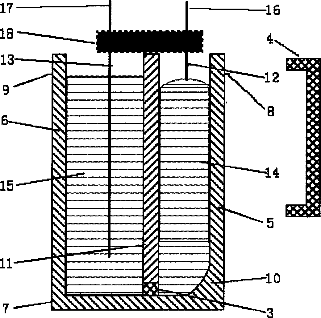 Electric sample introduction multiunit tube for capillary electrophoresis