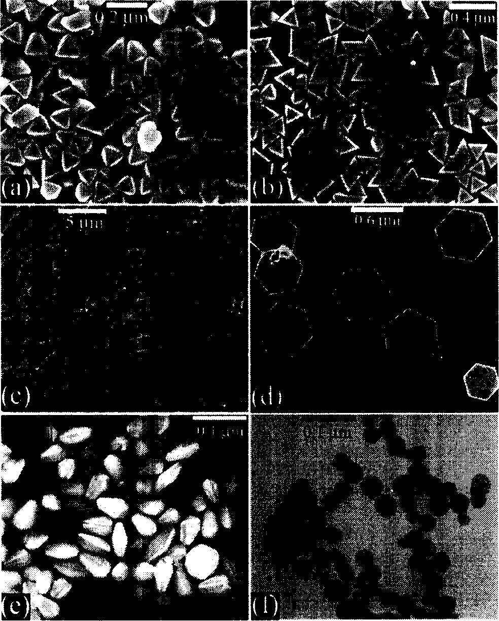 Method for preparing multiple high-purity anisotropic gold nano particle