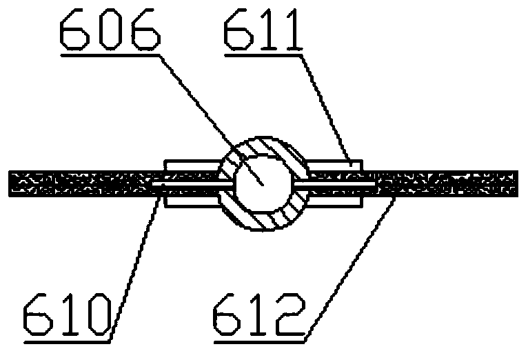 A reforming device for burning biomass in a circulating fluidized bed coal-fired boiler