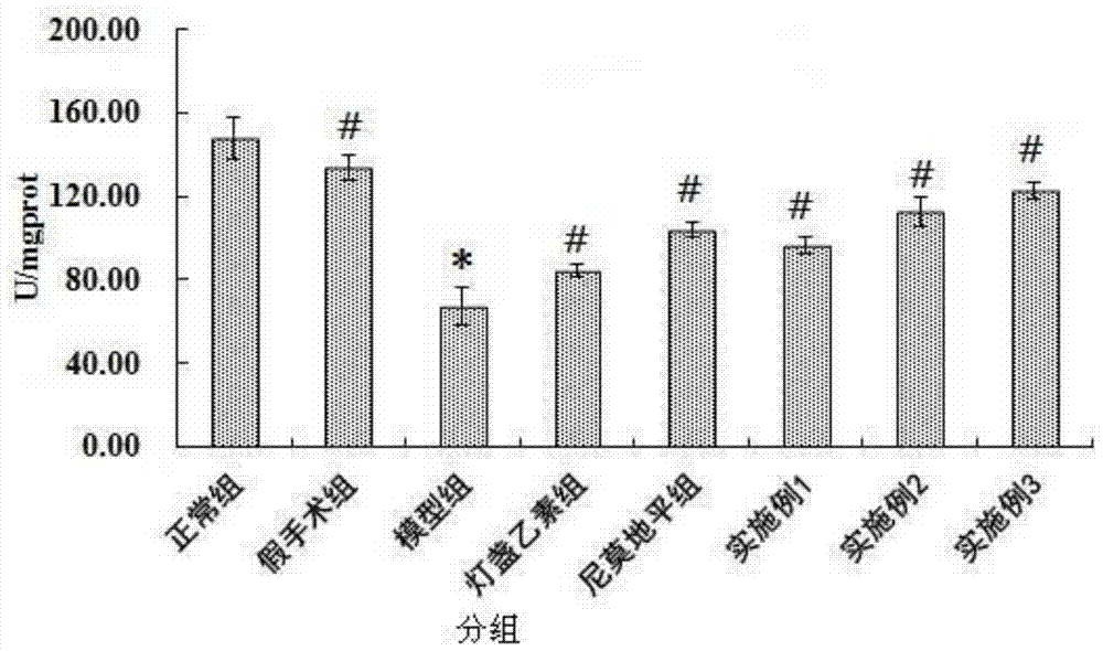 A kind of medicine for the prevention and treatment of ischemic stroke and its preparation method