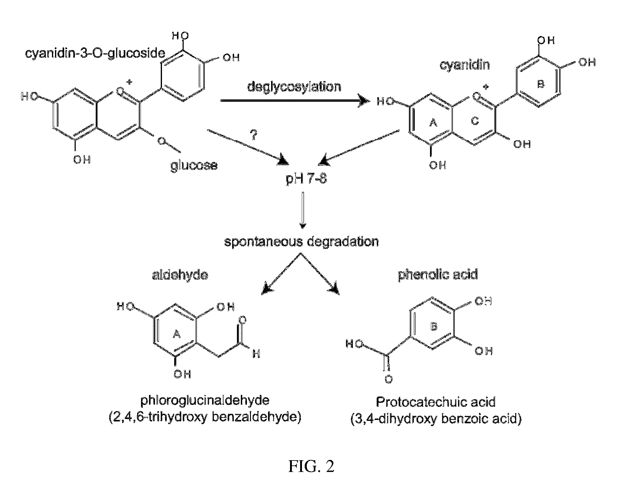 Antimicrobials and methods of use thereof for wound healing