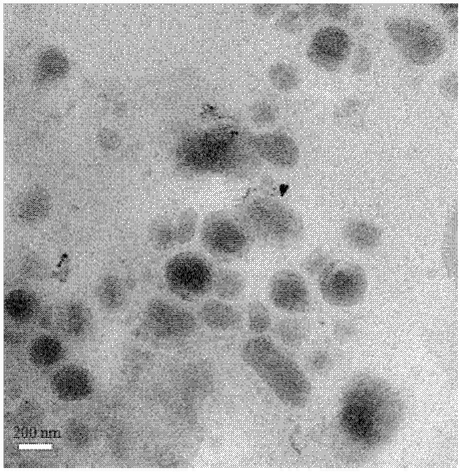 Temperature-sensitive core-shell vesicle controlled-release drug carrier, preparation method and application thereof