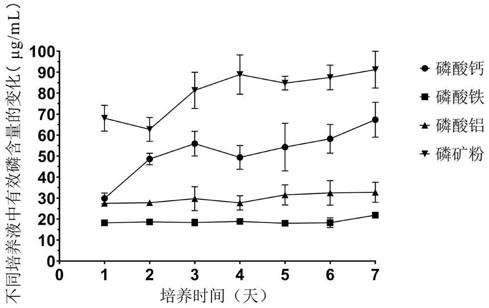 Sphingobacterium multivorium and application thereof