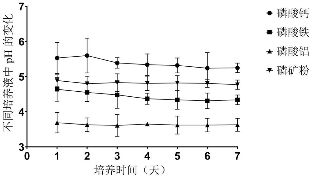 Sphingobacterium multivorium and application thereof