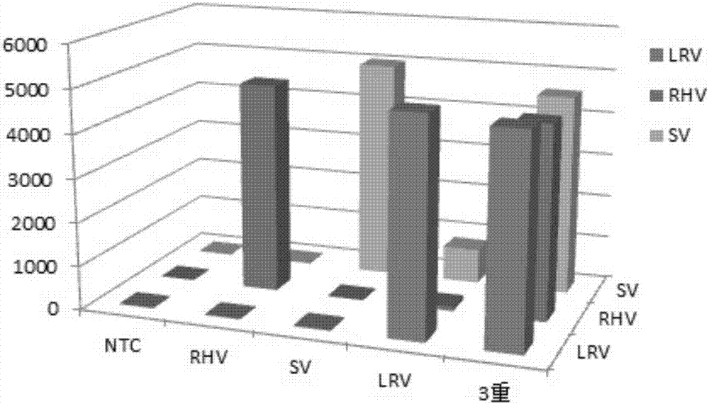 Multiplex fluoroimmunoassay method for rapidly distinguishing RHV (rabbit hemorrhagic disease), SV (sendai virus) and LRV (lapine rotavirus) and reagent