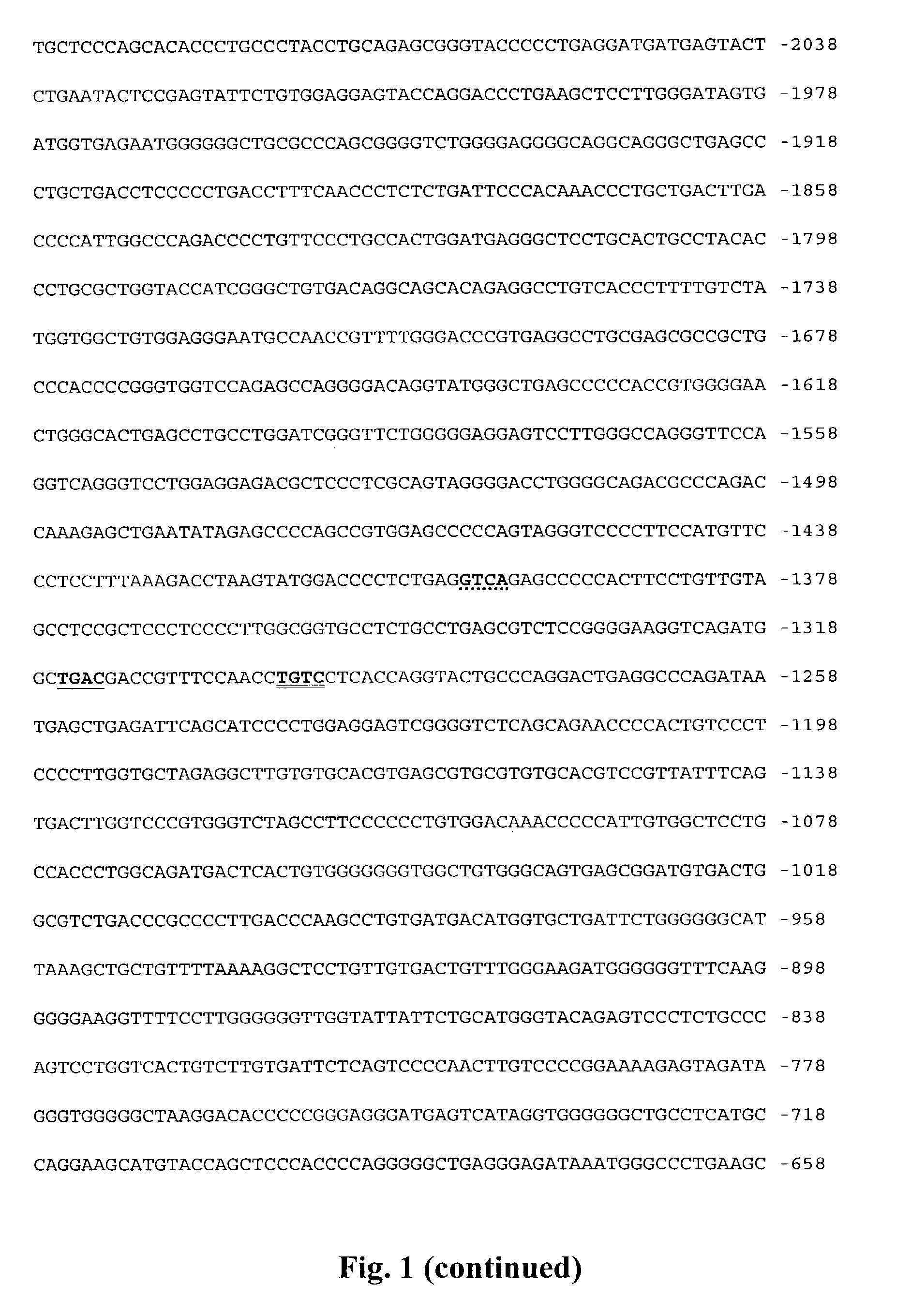 Promoter sequences for urocortin II and the use thereof