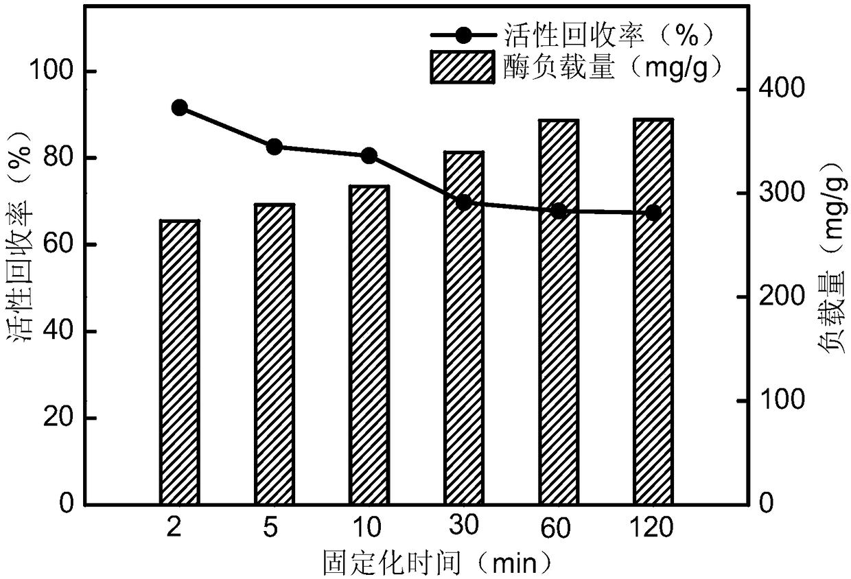 Sulfonated polystyrene microsphere immobilized alkaline protease and preparation method thereof