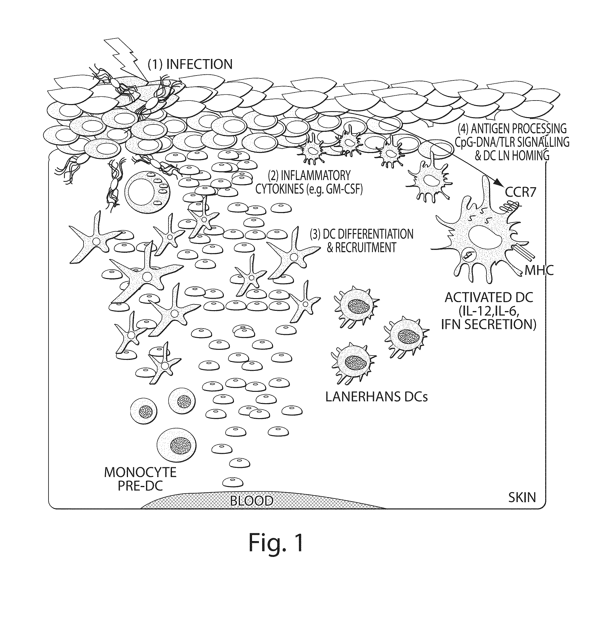 Continuous Cell Programming Devices