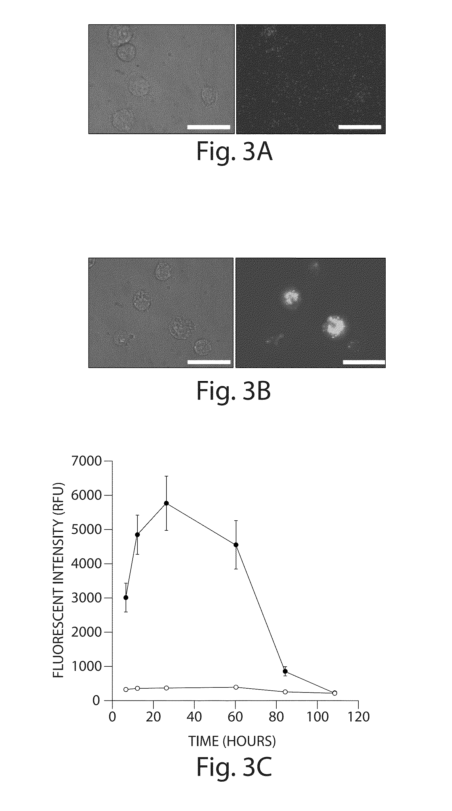 Continuous Cell Programming Devices