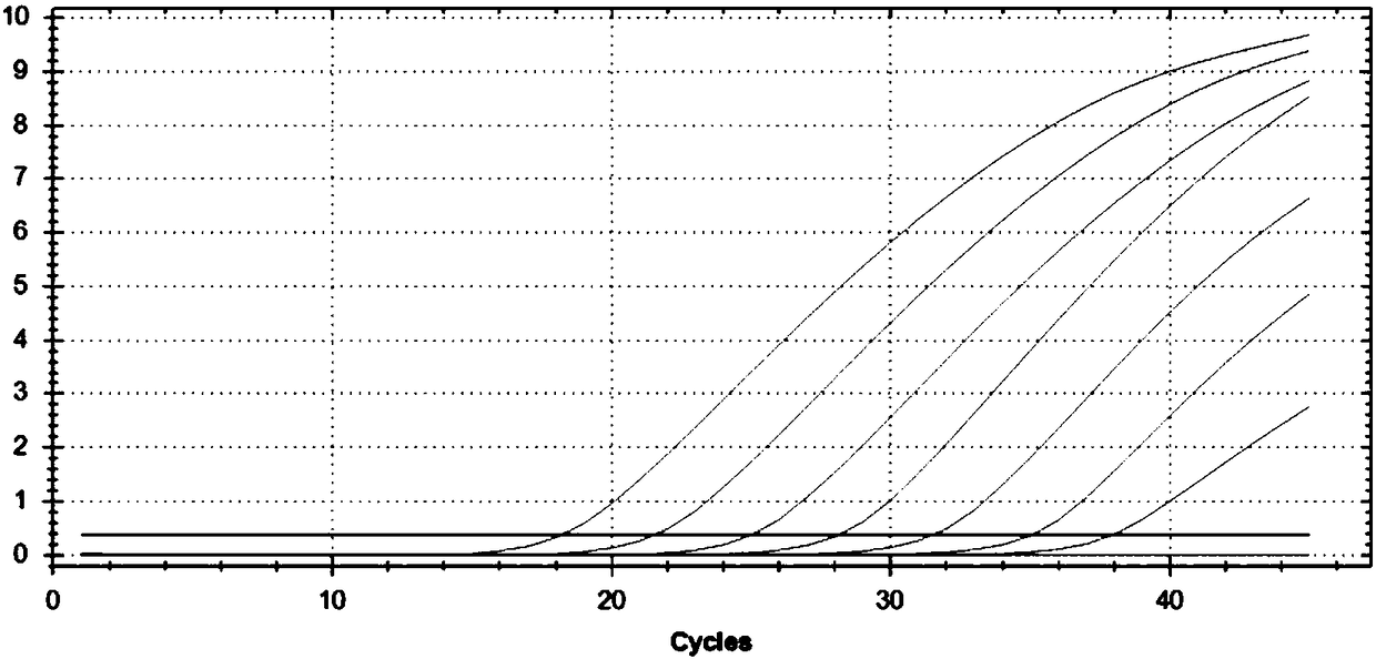 Fluorescent PCR (polymerase chain reaction) primer, probe and detecting kit for detecting mycoplasmas genitalium