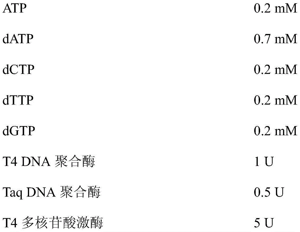 Method for performing DNA terminal repair/dA addition by adopting one-step method and application