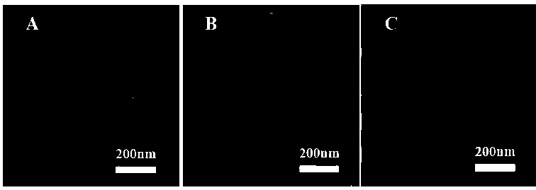 Preparation method of a tubular sandwich structure cnt@ni@ni2(co3)(oh)2 composite material