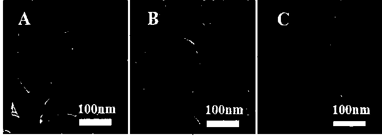 Preparation method of a tubular sandwich structure cnt@ni@ni2(co3)(oh)2 composite material