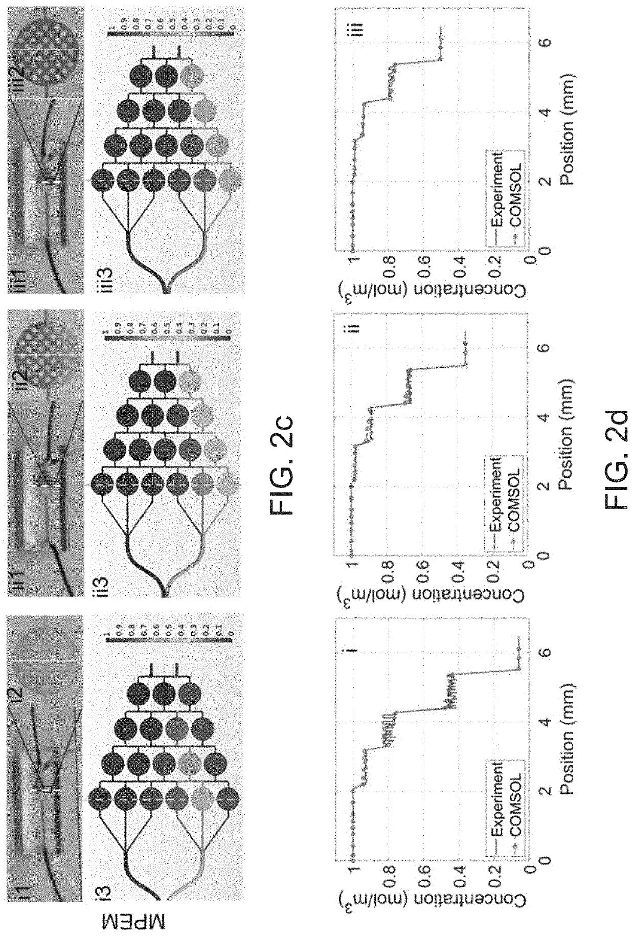 Microfluidic device with embedded cell culture chambers for high throughput biological assays