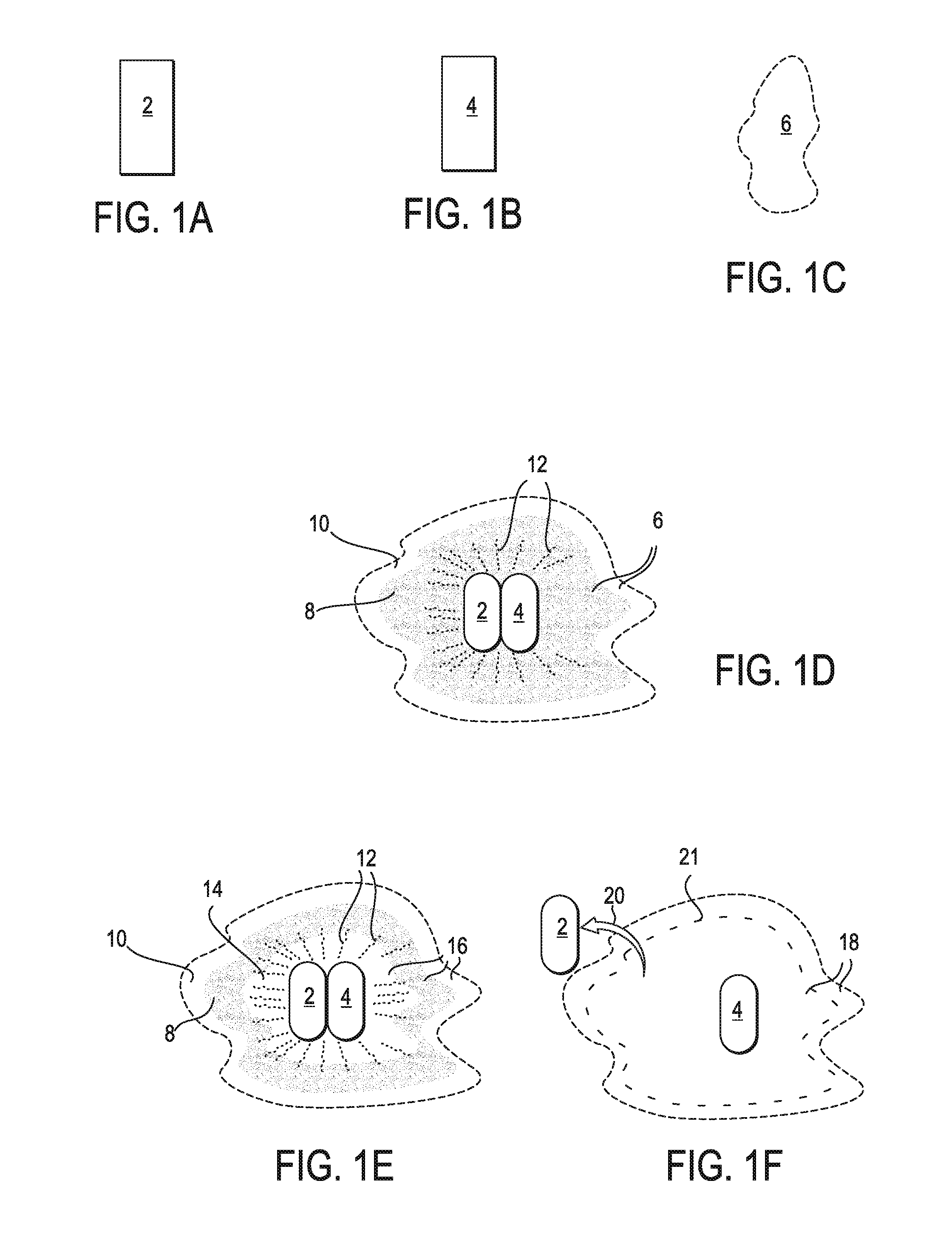 Bone implant and systems that controllably releases silver