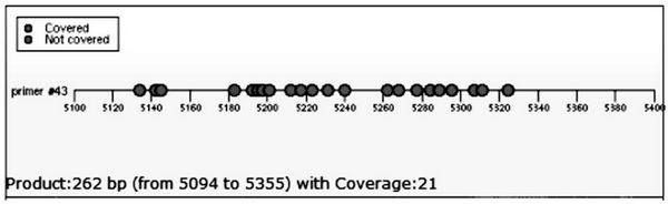 Methylation site in the promoter region of eno1 gene and its application in the preparation of kits for early diagnosis and prognosis evaluation of esophageal cancer