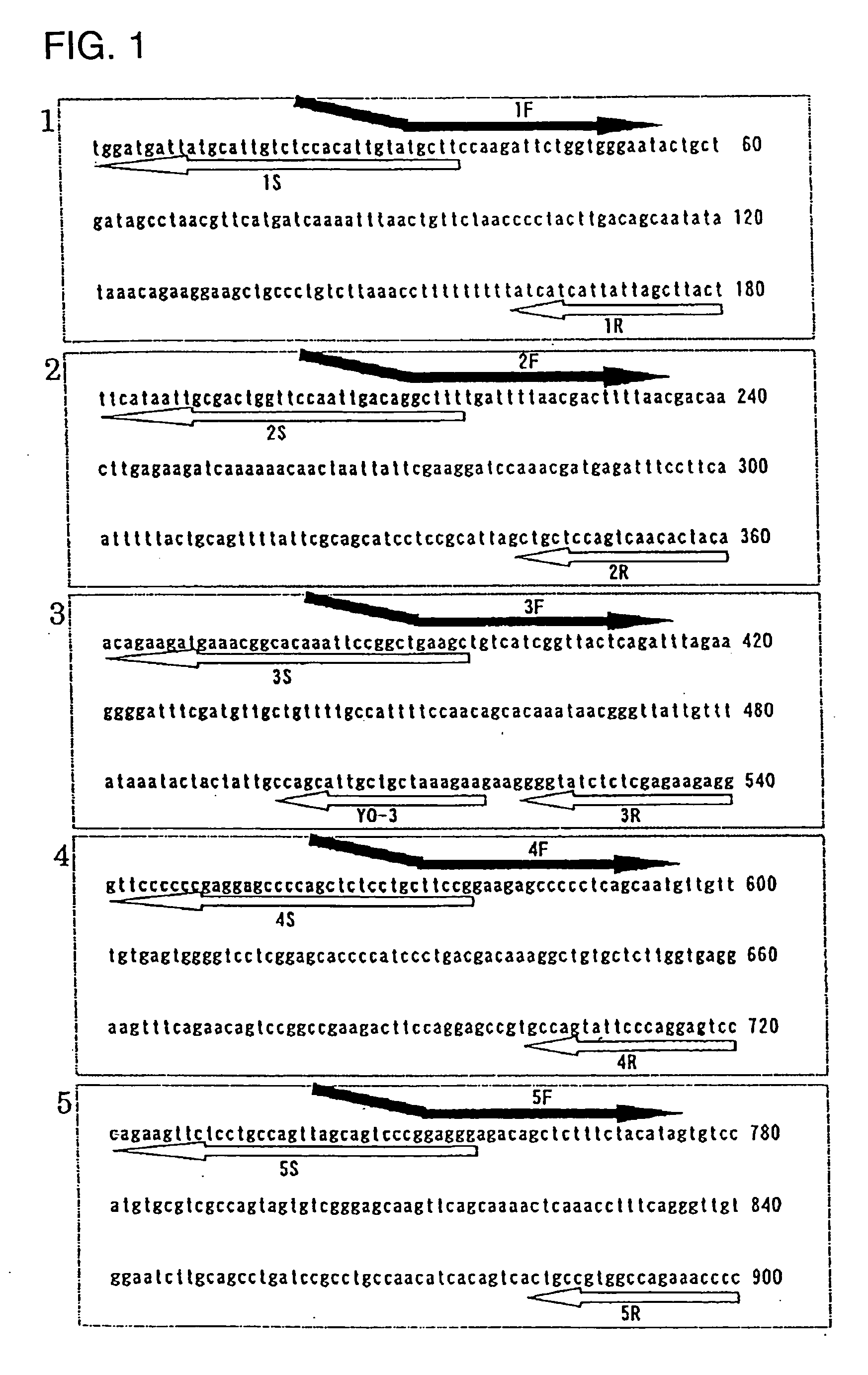 Novel genome analyzing method