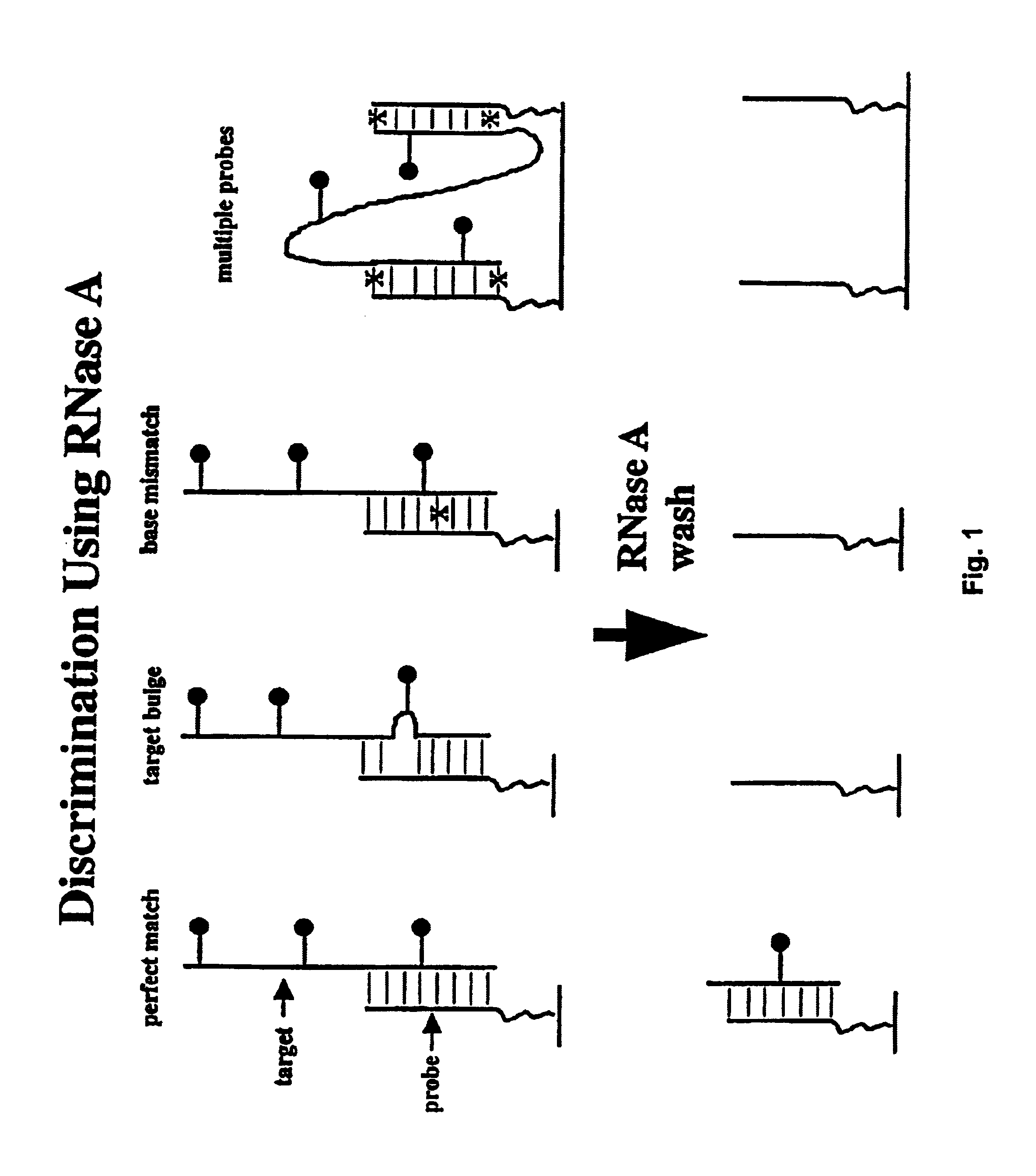 Methods of enzymatic discrimination enhancement and surface-bound double-stranded DNA